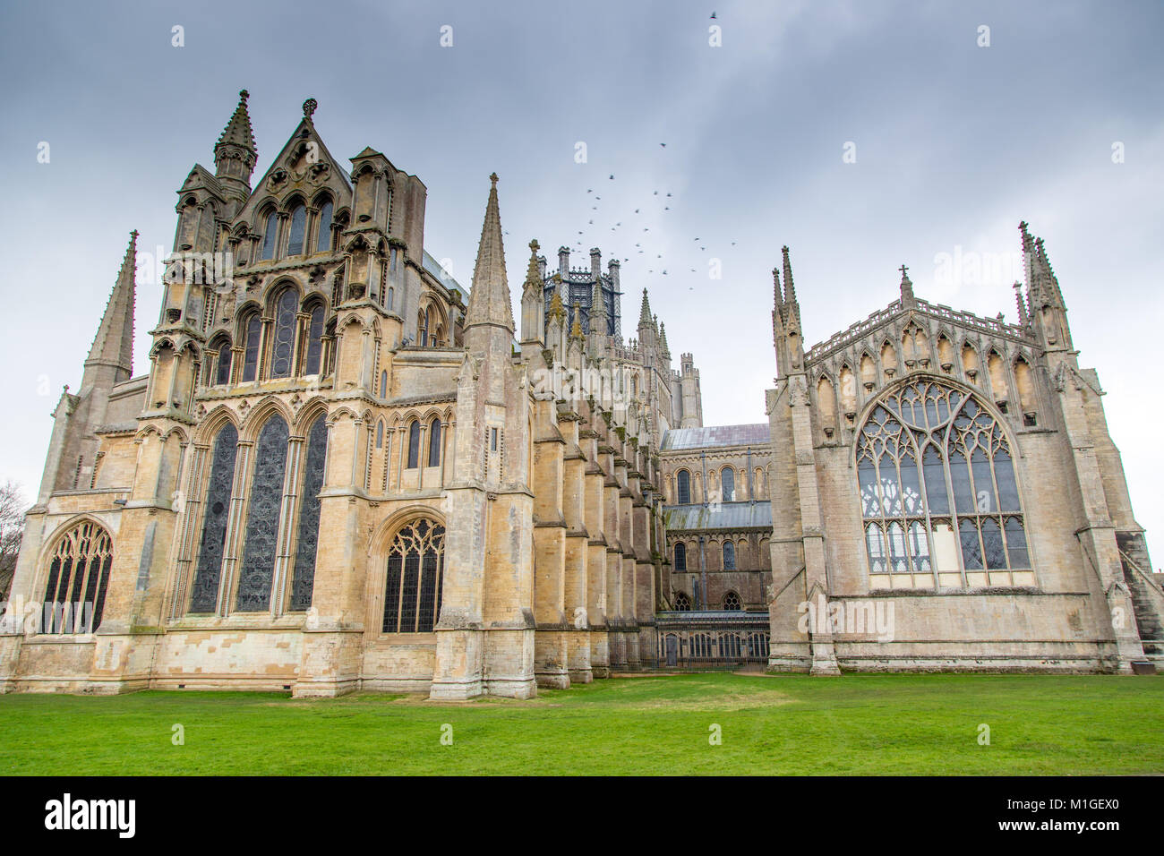 Ely Cathedral eine anglikanische Kathedrale in der Stadt Ely, Cambridgeshire, England. Die Kathedrale hat seinen Ursprung in AD 672 Stockfoto