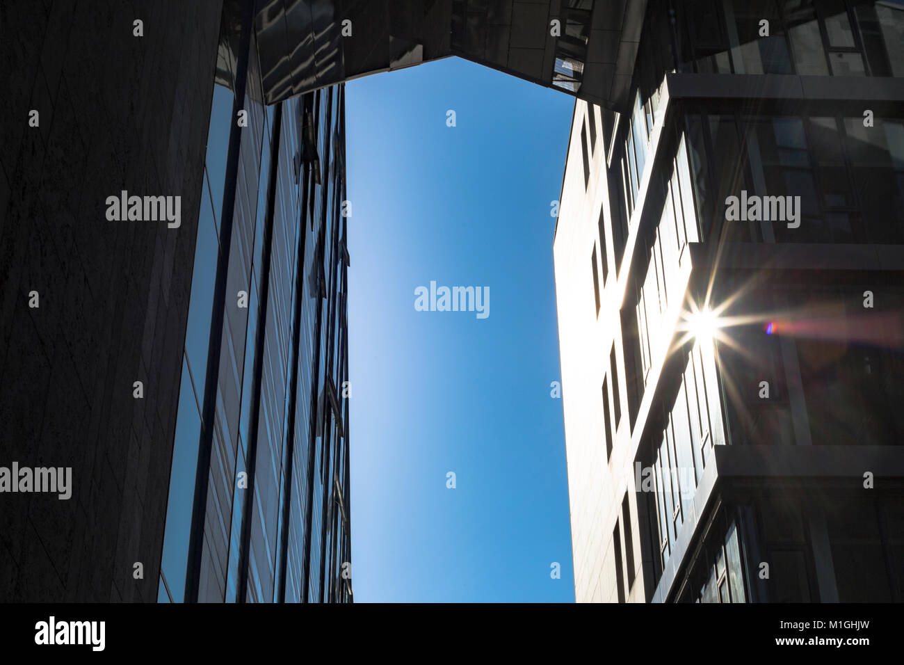 Neues Augusteum an einem sonnigen Tag im Sommer in der Stadt Leipzig Stockfoto