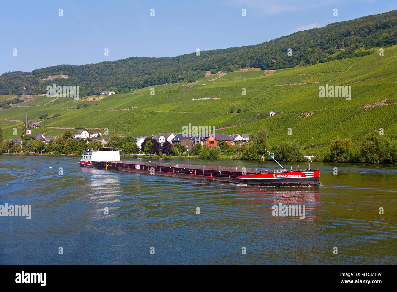 Frachter auf der Mosel im Weinort Piesport, Mosel, Rheinland-Pfalz, Deutschland, Europa Stockfoto