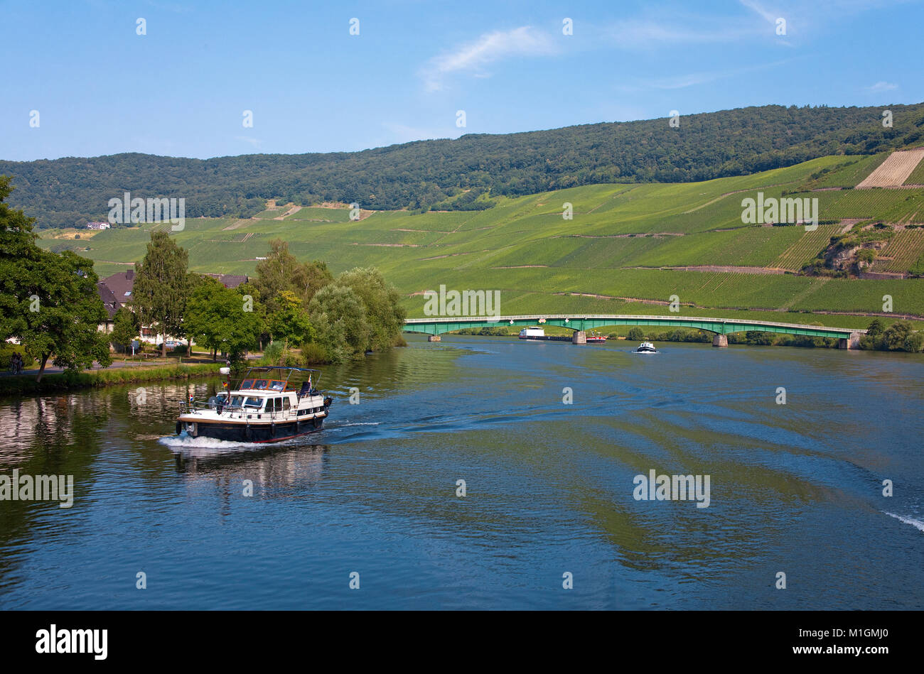 Kabine Schiff auf Mosel in Piesport, Mosel, Rheinland-Pfalz, Deutschland, Europa Stockfoto