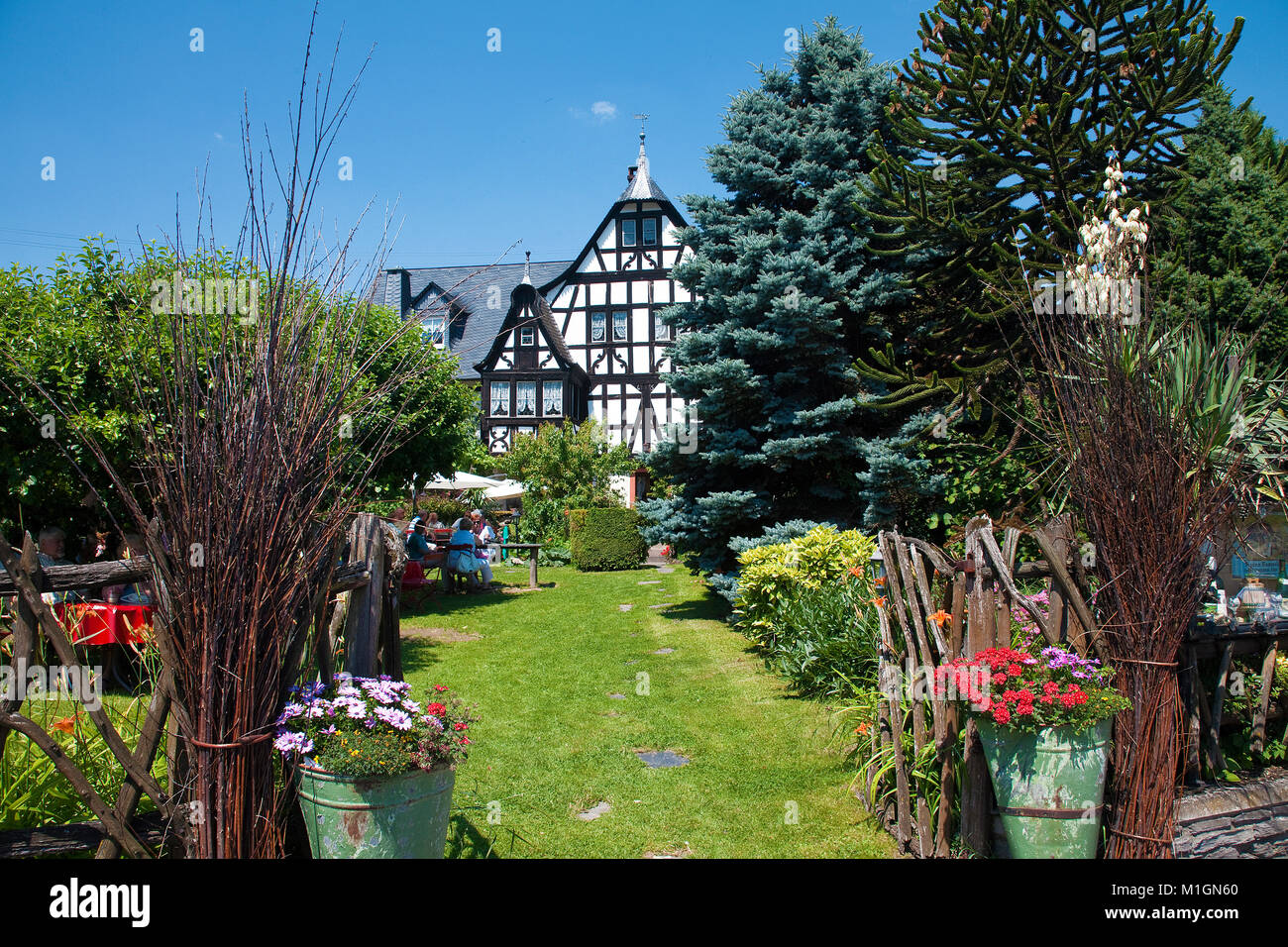 Weinberg drei Giebel Haus, 300 Jahre alte Fachwerkhaus, Gastronomie im schönen Garten, Kroev, Mosel, Rheinland-Pfalz, Deutschland Stockfoto