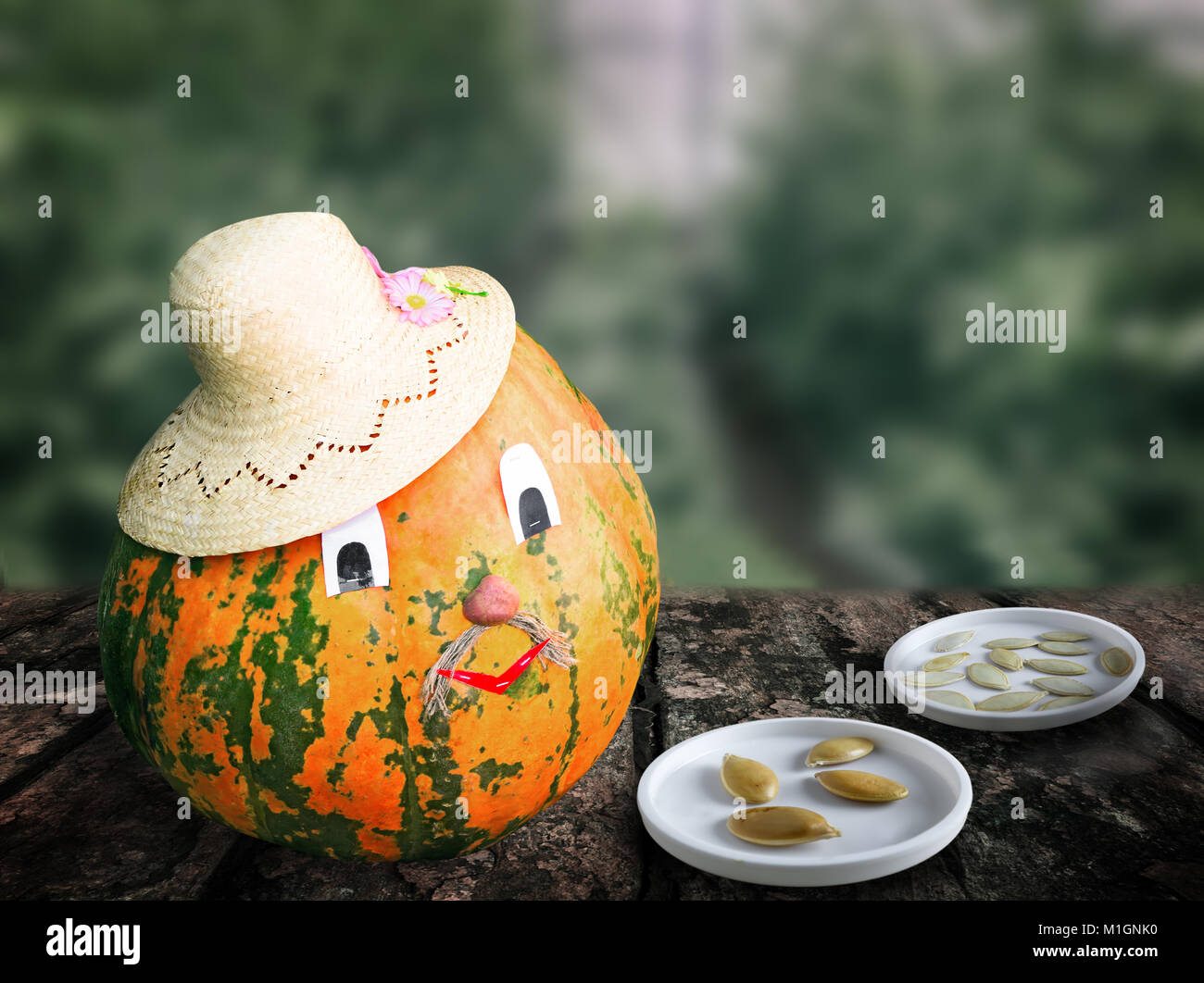 Samen und Früchte eines Kürbis auf dem Hintergrund des Gewächshauses verwischt. Stockfoto