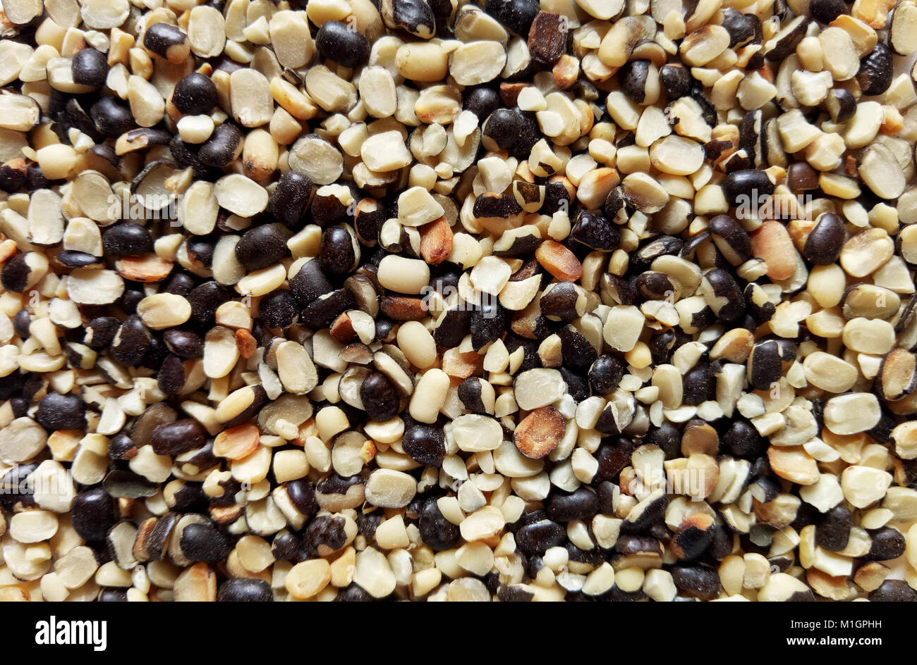 Zerkleinert Split Schwarzes Gramm Samen Gesunde natürliche Ernährung Stockfoto