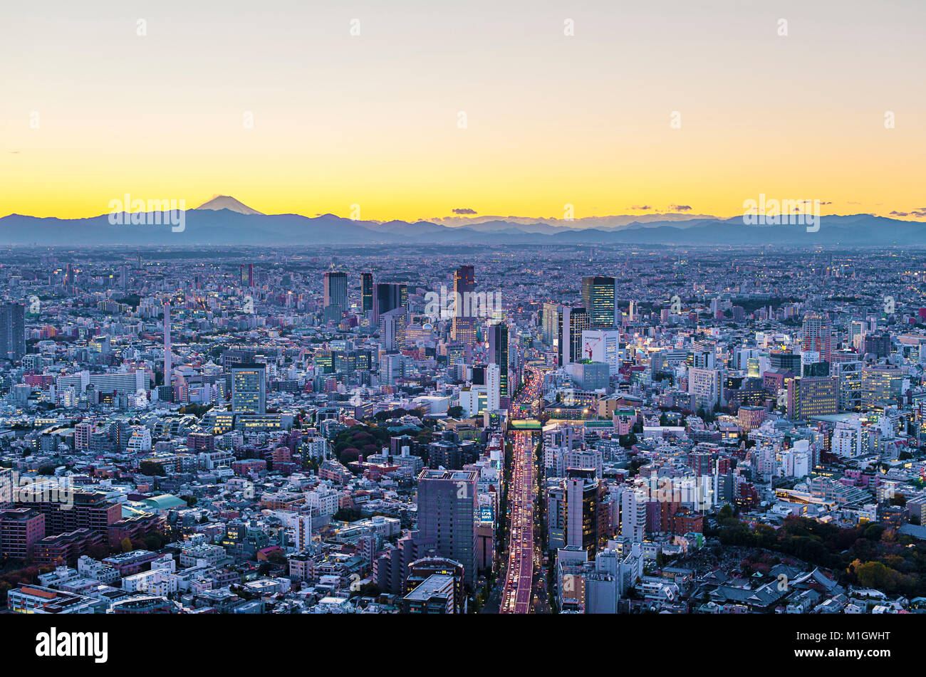 Antenne Stadtbild Blick Tokyo Japan Stockfoto