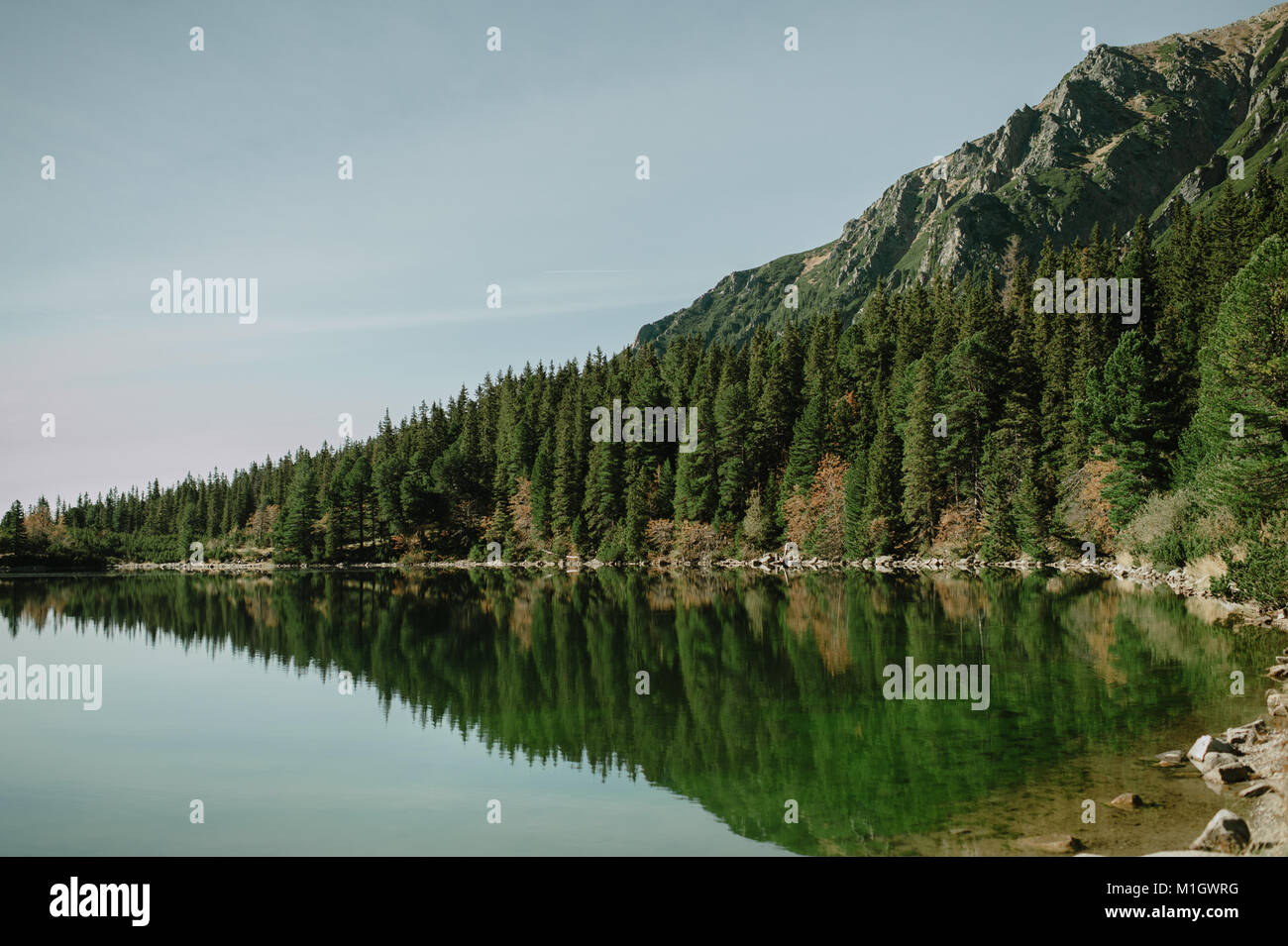 Ausblick auf den Wald See mit Reflexion der immergrünen Bäumen im See. Stockfoto