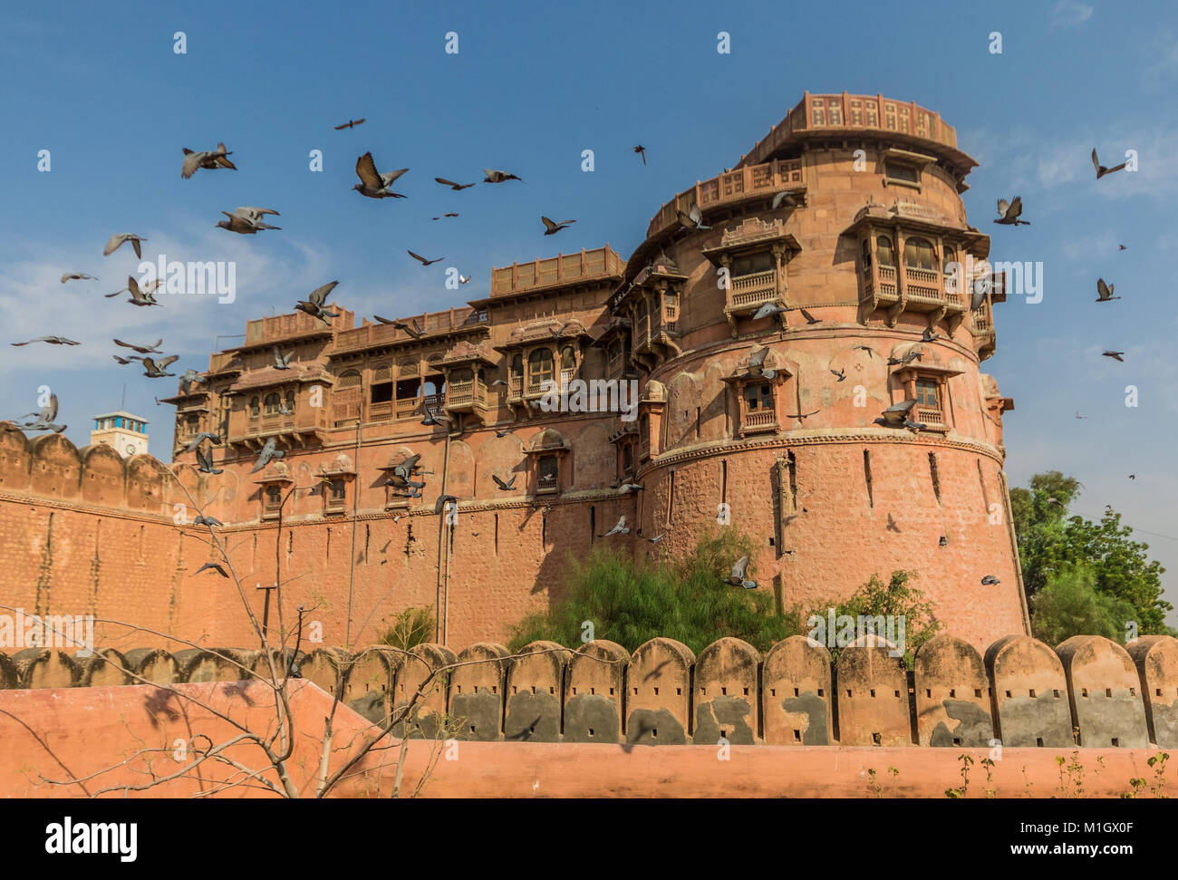 Rajasthan, Indien - zwischen Neu-Delhi und Pakistan, ein wüstenklima Region berühmt für seine Festung, seine Farben, und die ausgefeilte Brunnen Stockfoto
