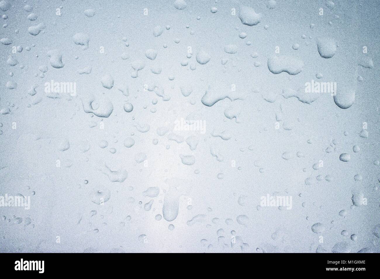 Raupe auf Silver auto Lack Stockfoto