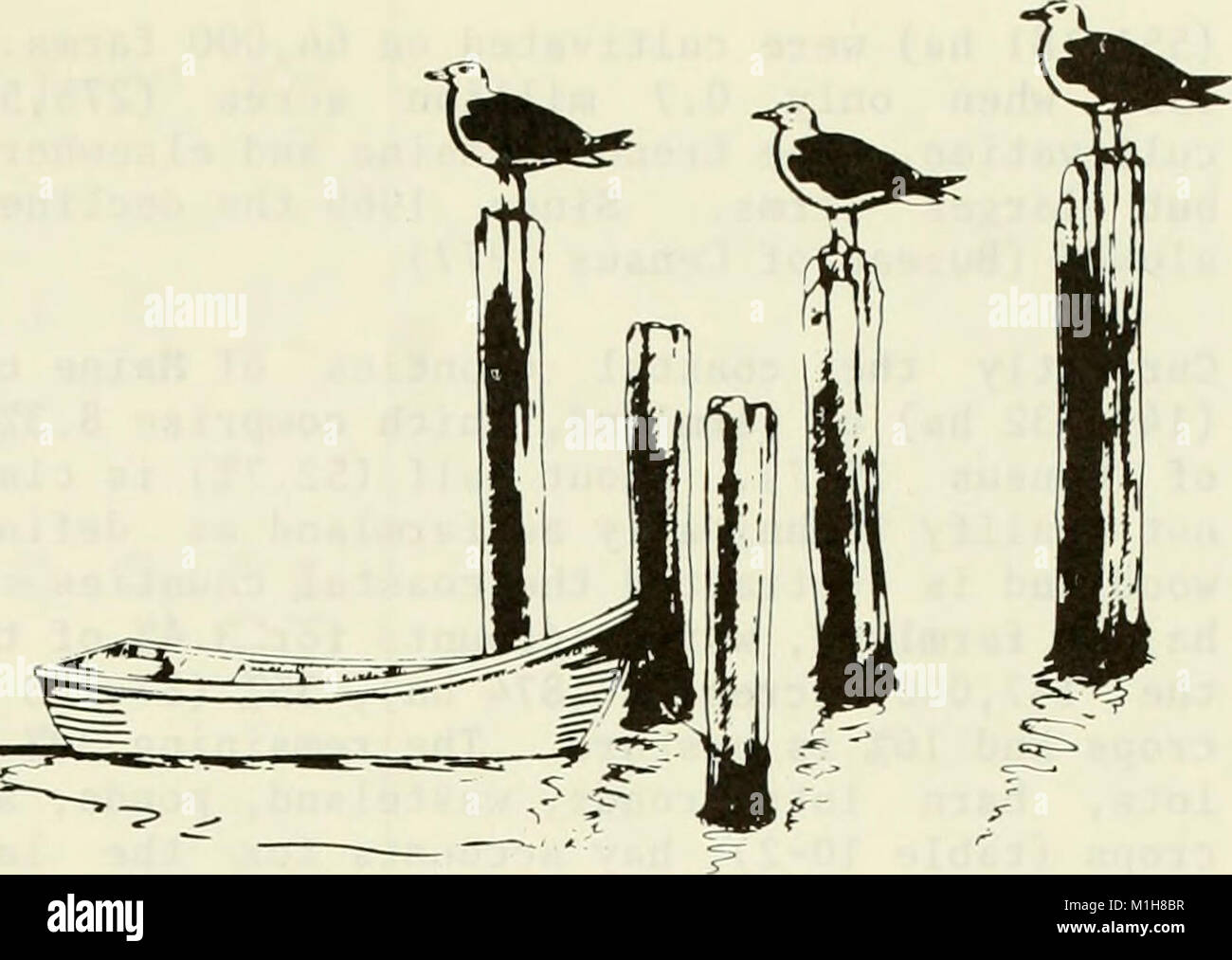 Eine ökologische Charakterisierung von Küstenmaine (nördlich und östlich von Cape Elizabeth) (1980) (20954157210) Stockfoto