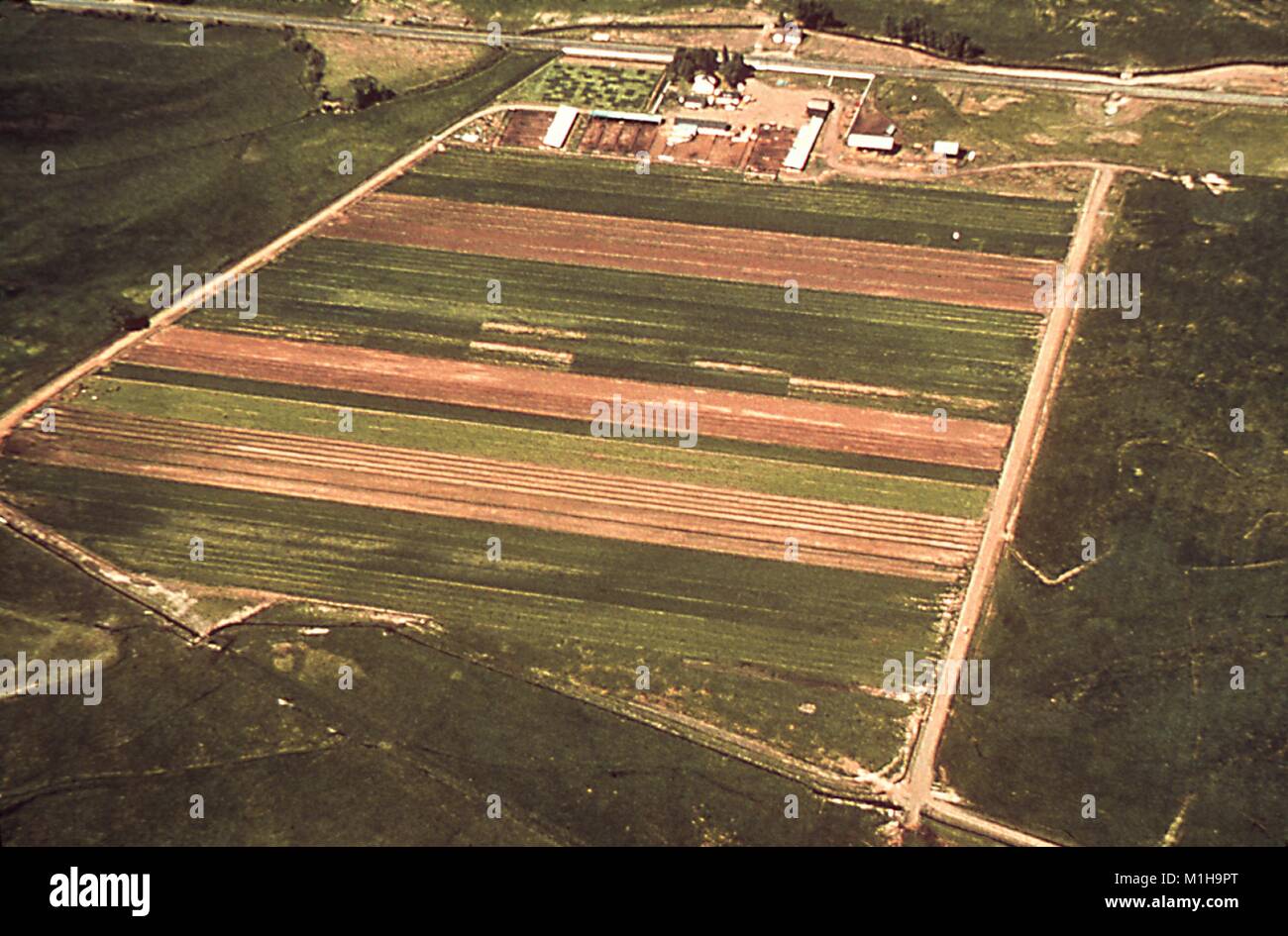 Luftbild von Ackerland mit Bewässerungskanälen, potentielle Brutstätten für Mücken, wenn Sie stehendes Wasser und eine Website für die Verhinderung des Vektors relevanten Krankheiten, 1976. Mit freundlicher CDC/DR. R. O. Hayes. () Stockfoto