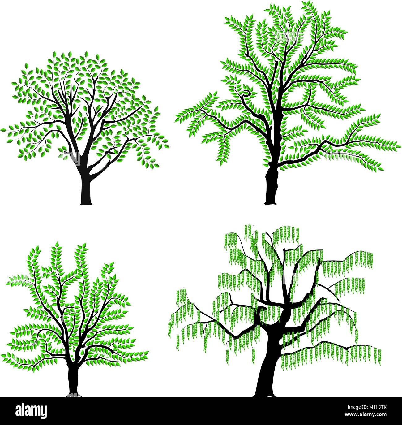 Sammlung von vier verschiedenen Bäumen Stock Vektor