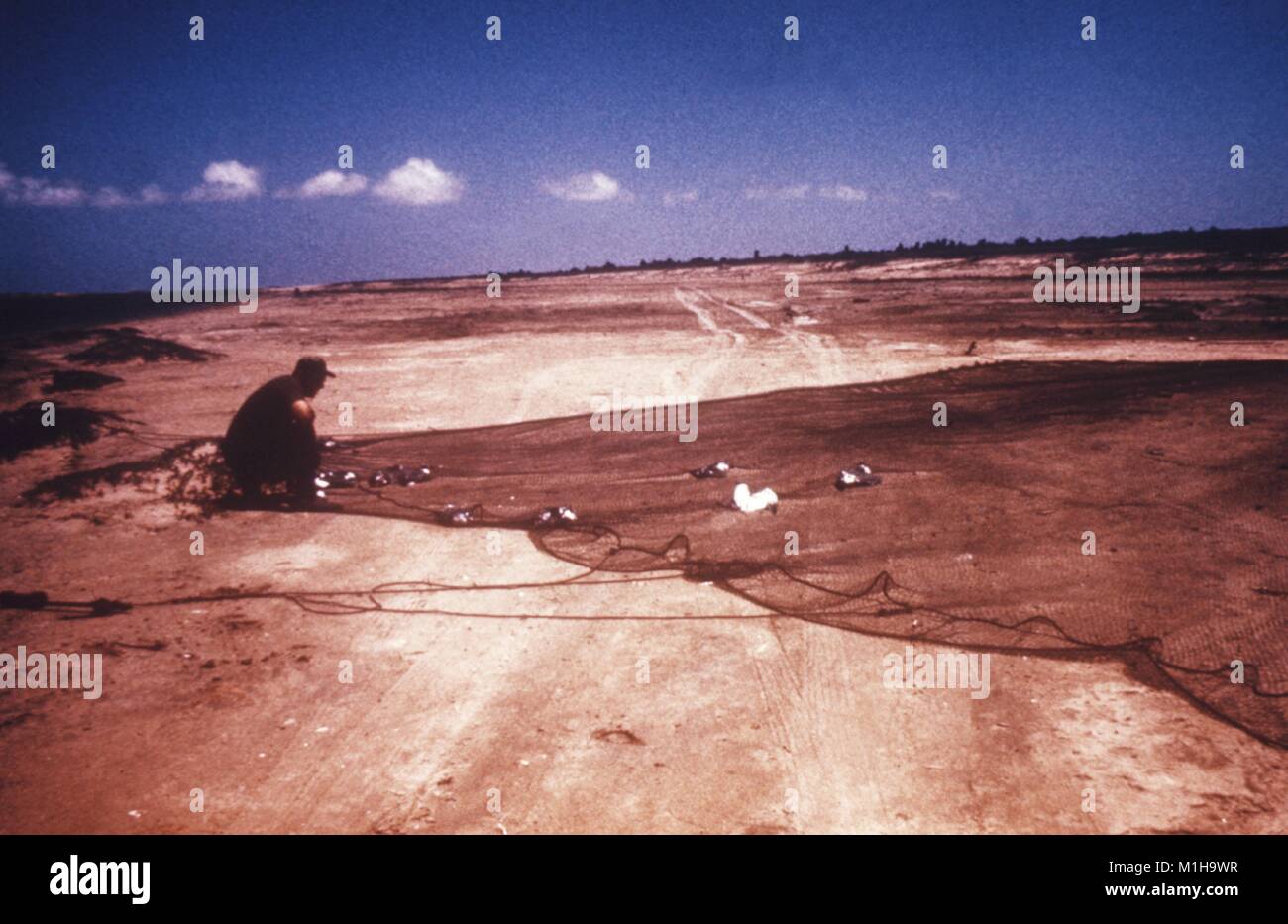Mann in einer Küstenlandschaft kniet sich in den Sand über eine Kanone-net, dass mehrere große Vögel, die in Zentren verwendet Wird für Krankheitskontrolle (CDC) Studien über Vogel-basierte arbovirus Infektionen wie das West Nile Virus, 1974 gefangen hat. Mit freundlicher CDC. () Stockfoto
