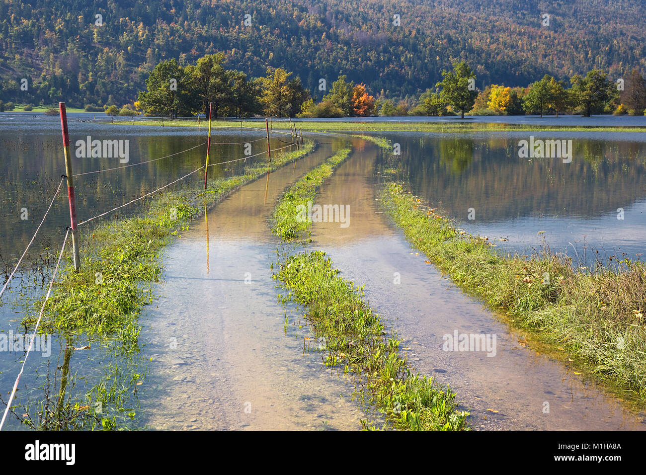 Überfluteten Landstraße - Fluss im Tal - der Planinsko Polje, Slowenien übergelaufen Stockfoto