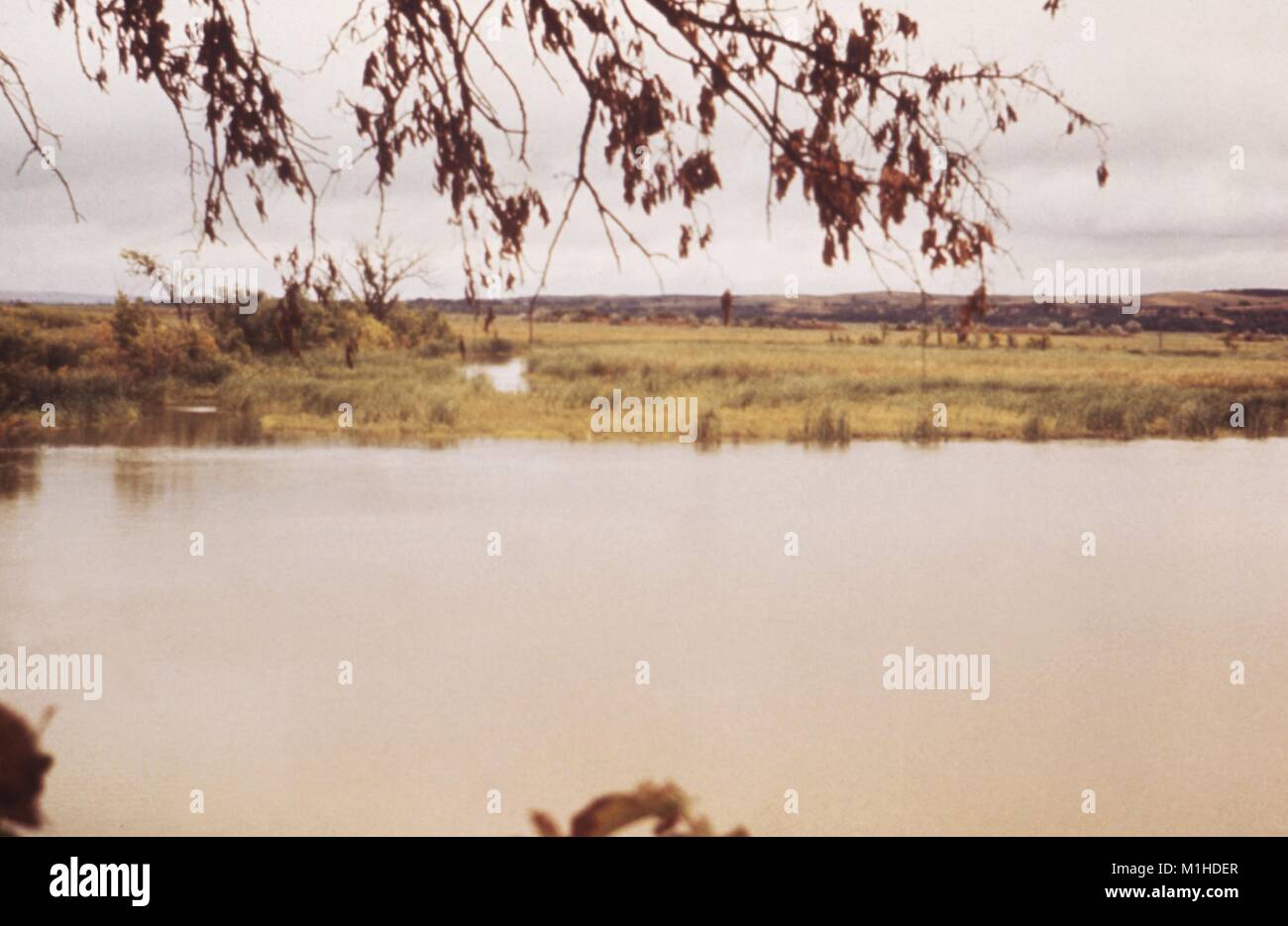 Landschaft Foto von sümpfen am Rande eines Sees Reservoir, mit einem Baum im Vordergrund und die fernen Hügel im Hintergrund sichtbar, als Teil einer Untersuchung durch Vektoren übertragene Krankheiten, Lewis und Clark Lake, Nebraska, 1976, 1976. Mit freundlicher CDC. () Stockfoto