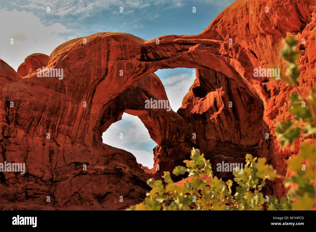 Arches National Park, Utah - Land der schönen roten Rock, erstaunlichen natürlichen Felsen Skulpturen, Wandern, photo Ops und Kiefer fällt! Stockfoto