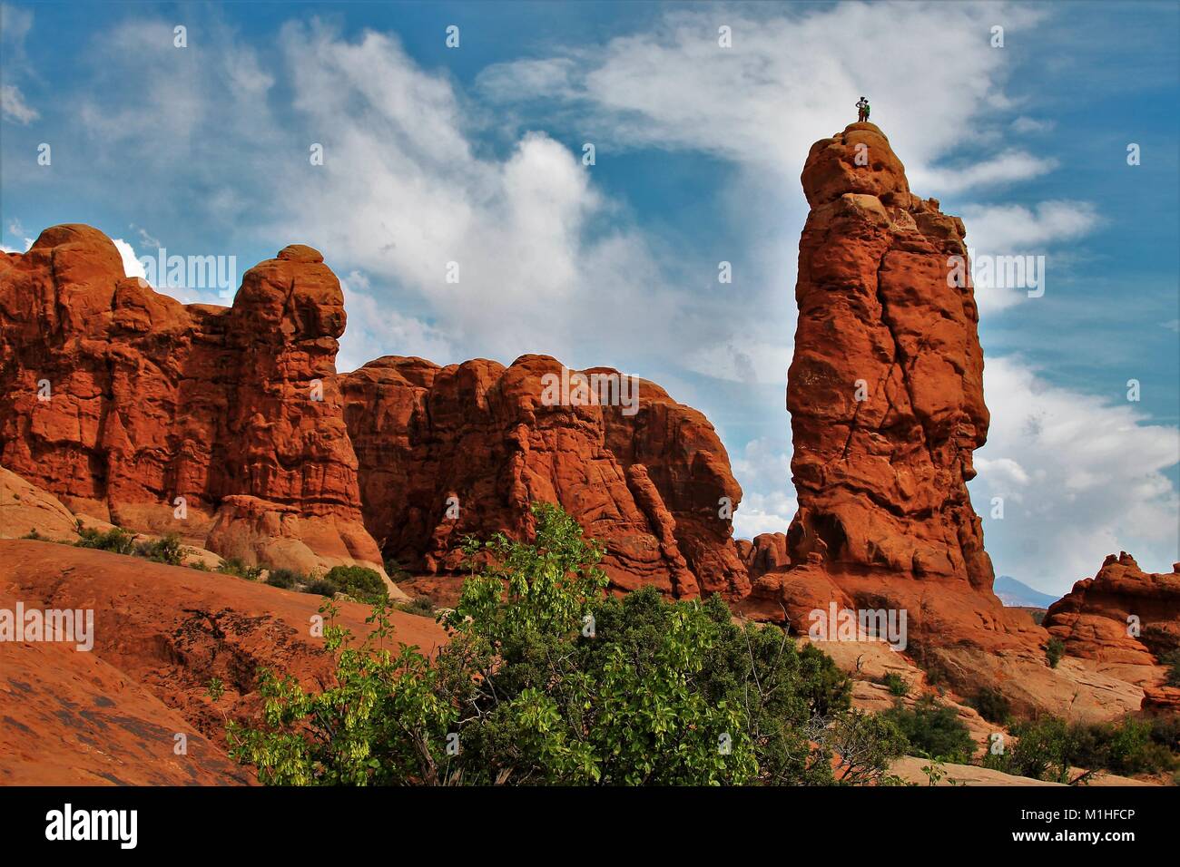 Arches National Park, Utah - Land der schönen roten Rock, erstaunlichen natürlichen Felsen Skulpturen, Wandern, photo Ops und Kiefer fällt! Stockfoto