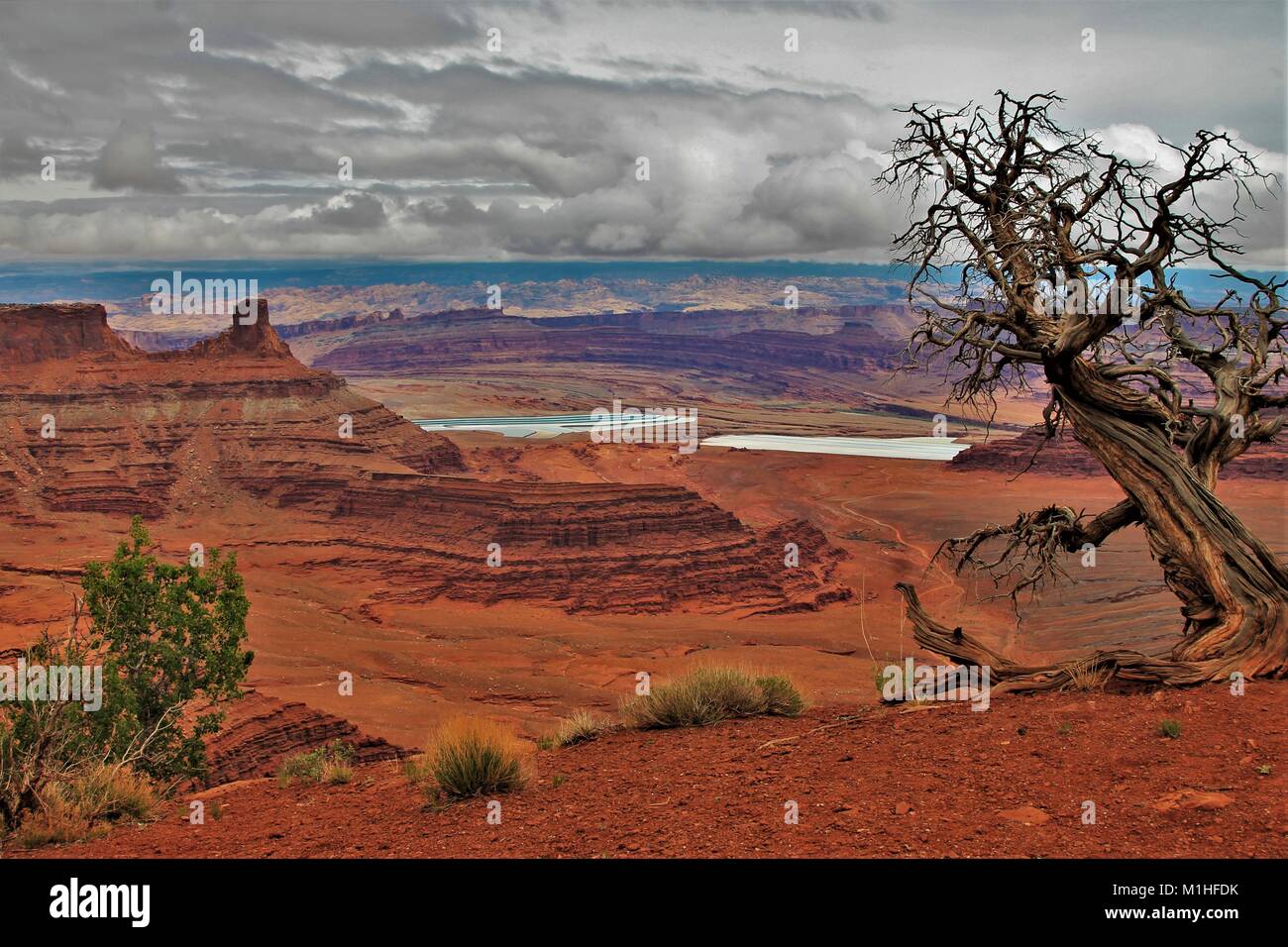 Canyonlands Insel im Himmel region ist ein faszinierendes Gebiet der Red Rock Canyons, wunderschöne Landschaften, unglaubliche wandern, und erstaunliche nightskies Stockfoto