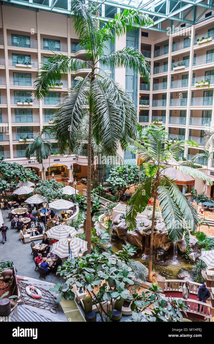 Florida, Fort Lauderdale, Sheraton Suites Cypress Creek, Hotel, Atrium, Palmen, Baum, Sonnenschirme, FL080103008 Stockfoto