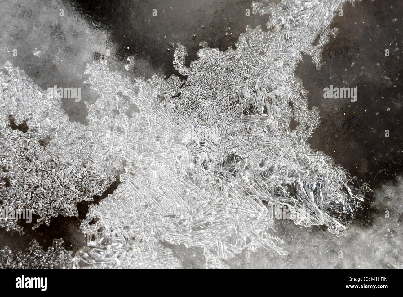 Close-up von Eiskristallen in Schichten von Eis, Northeast Harbor, Maine Stockfoto