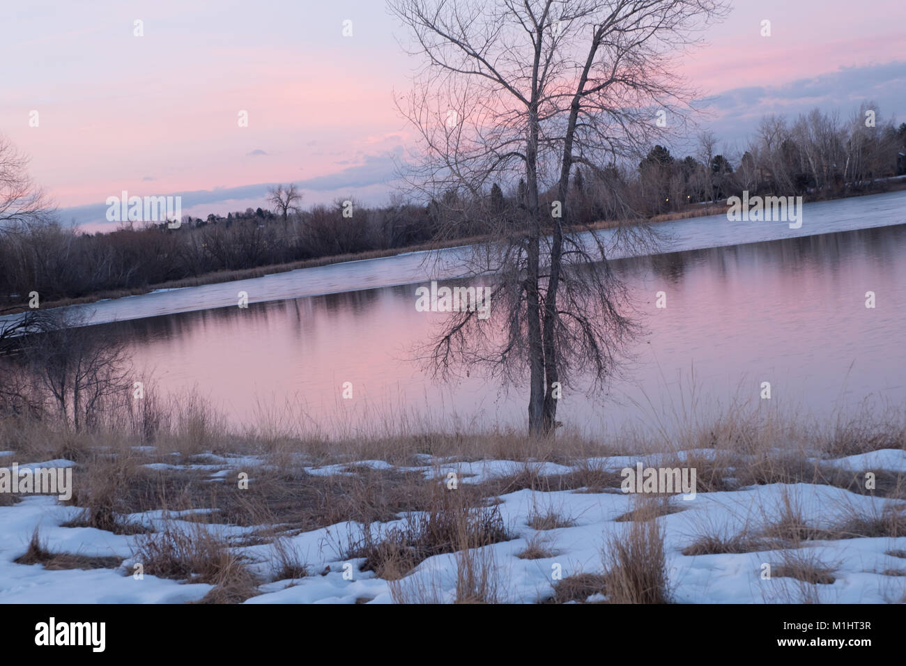 Sonnen Vogel auf einem Teich in Lakewood, Colorado. Stockfoto