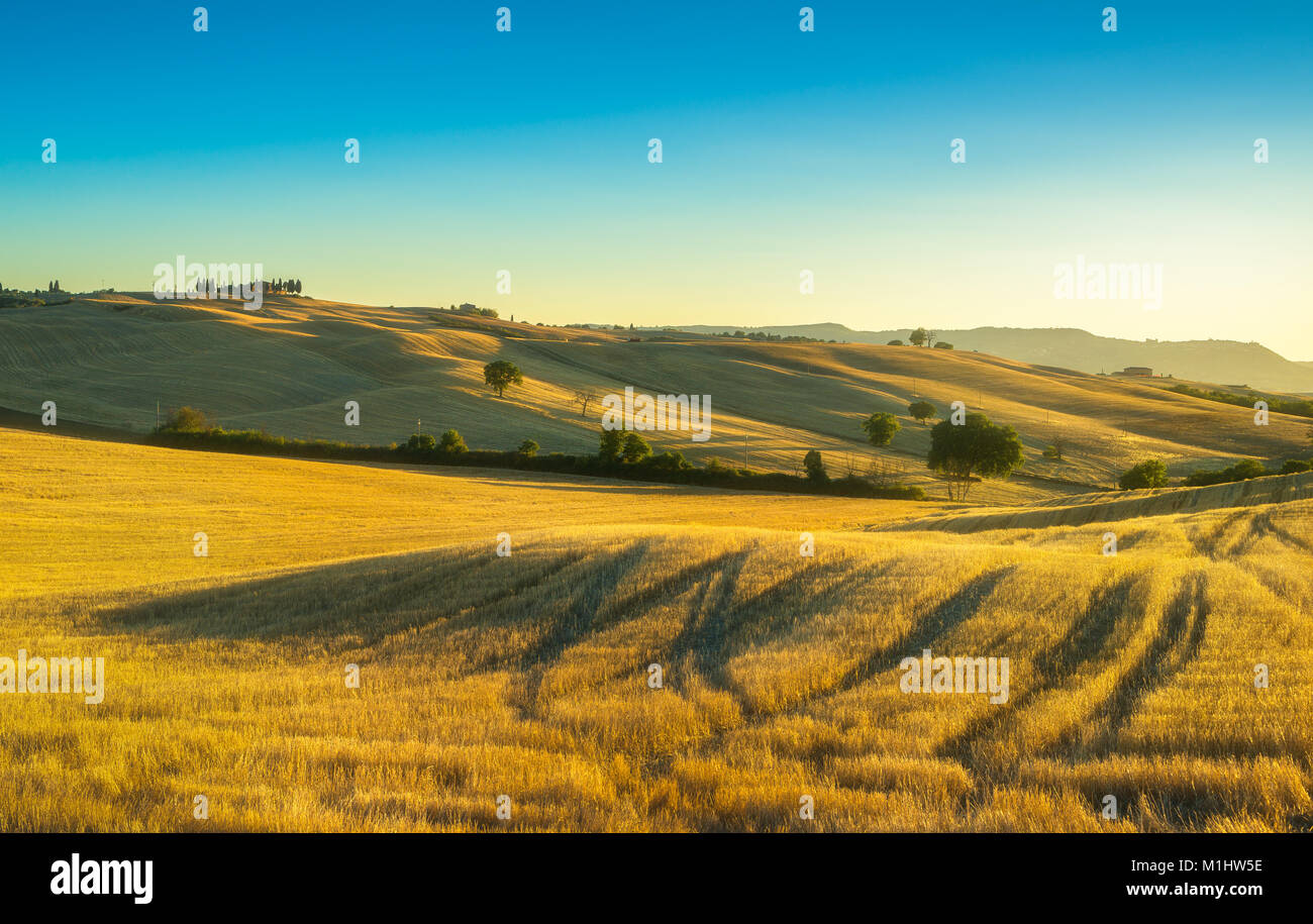 Der Toskana auf dem Land Panoramaaussicht, Bäume, Hügel und grüne Felder auf den Sonnenuntergang. Italien, Europa Stockfoto