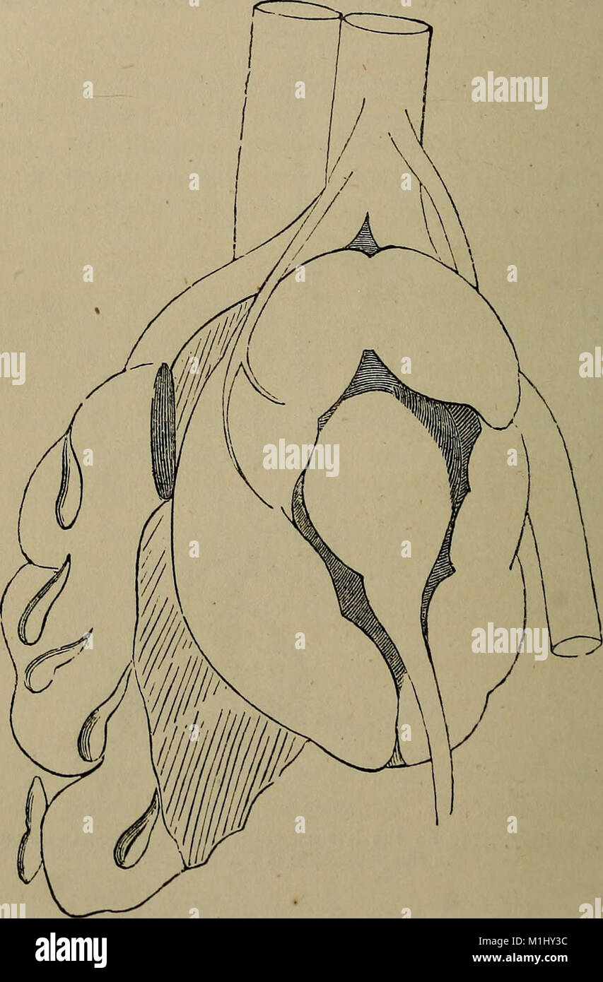 Erotik fotosuratlarda rus aktrisalari Eng katta Osiyo jinsiy olatni