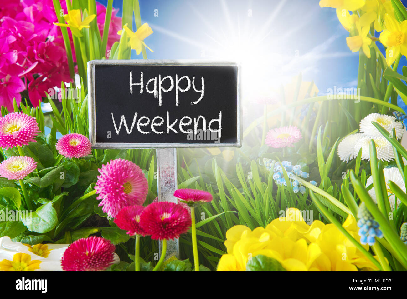 Sonnige Frühling Blumen Wiese, Happy Weekend Stockfoto