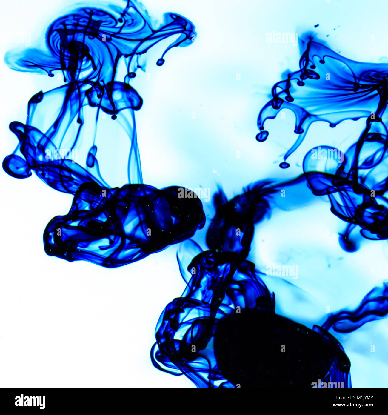 Blaue Lebensmittelfarbe Dispergieren in Wasser auf einem weißen Hintergrund. Stockfoto