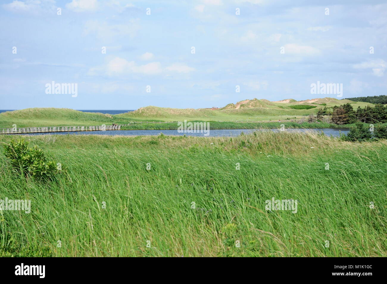 Nordende des Sees von leuchtenden Wassers auf PEI im Cavendish. Viele grüne Gräser im Wind mit einer Wolke und blauer Himmel. Stockfoto