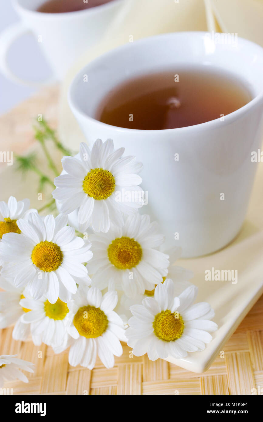 Hausgemachte Remedy - Kräuter Tee Kamille (Matricaria Chamomilla) - Gesundheitsversorgung und medizinische Behandlung Stockfoto