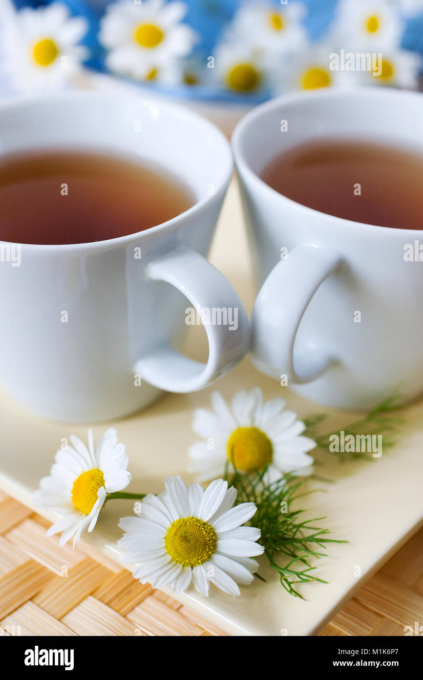 Hausgemachte Remedy - Kräuter Tee Kamille (Matricaria Chamomilla) - Gesundheitsversorgung und medizinische Behandlung Stockfoto