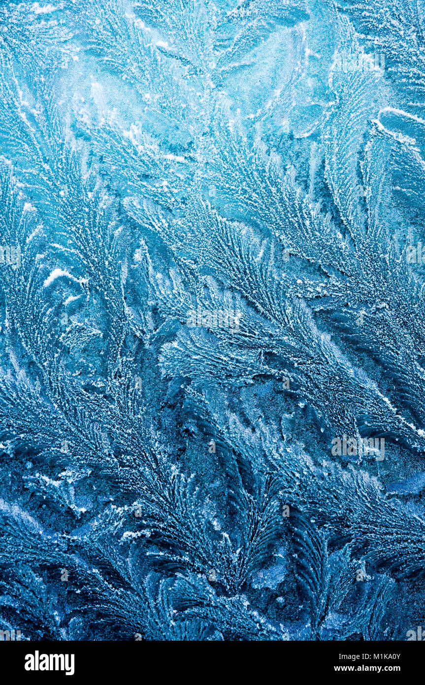 Iceflowers, gefroren. Der eiskalten Frost formen Eiskristalle in schöne einzigartige Muster Stockfoto