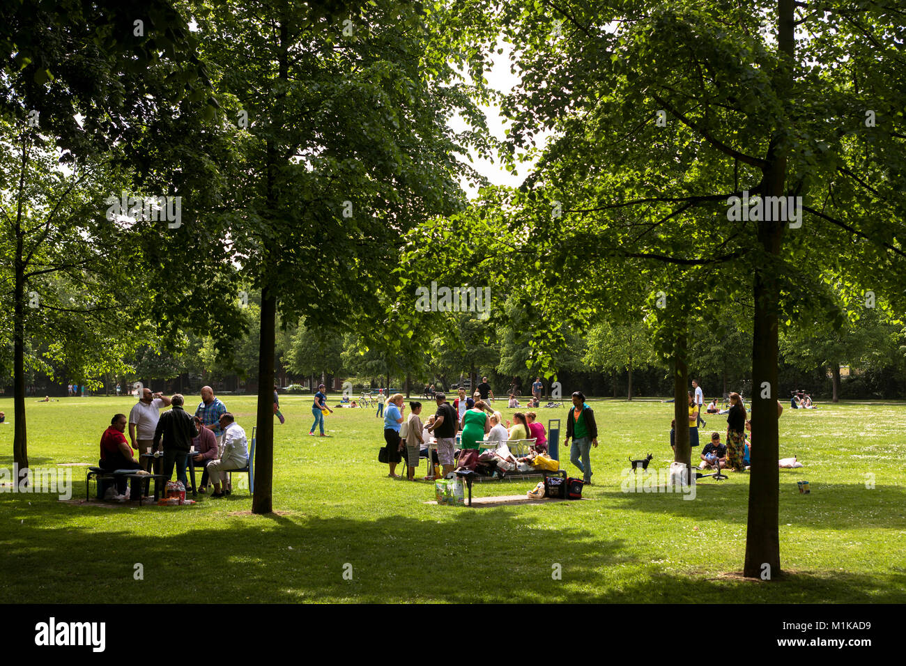 Deutschland, Köln, Leute genießen ein Sommertag am Inneren Gruenguertel. Deutschland, Koeln, Menschen geniessen einen Sommertag im Zusatzger&aumlte Gruengu Stockfoto