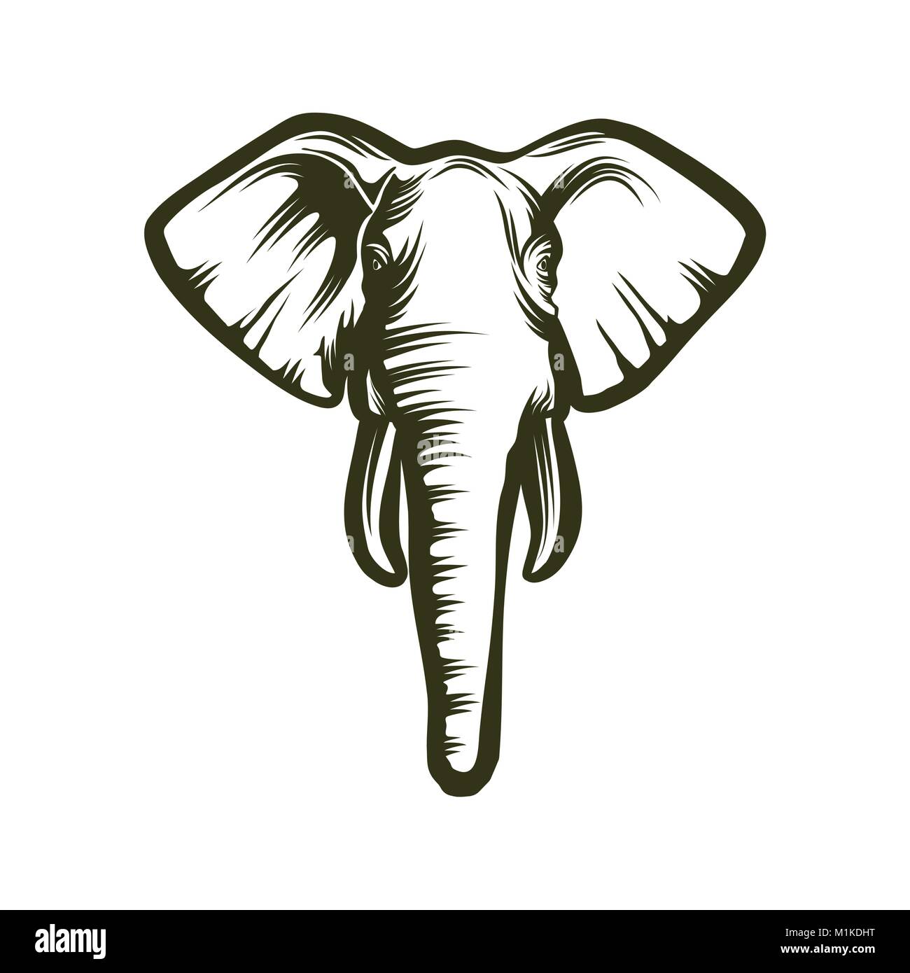 Kopf des Elefanten auf weißem Hintergrund, Vector Illustration Stock Vektor