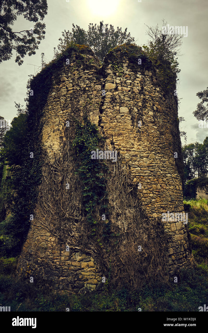 Chateau überwucherten Ruinen in der Nähe von nontron Frankreich Stockfoto