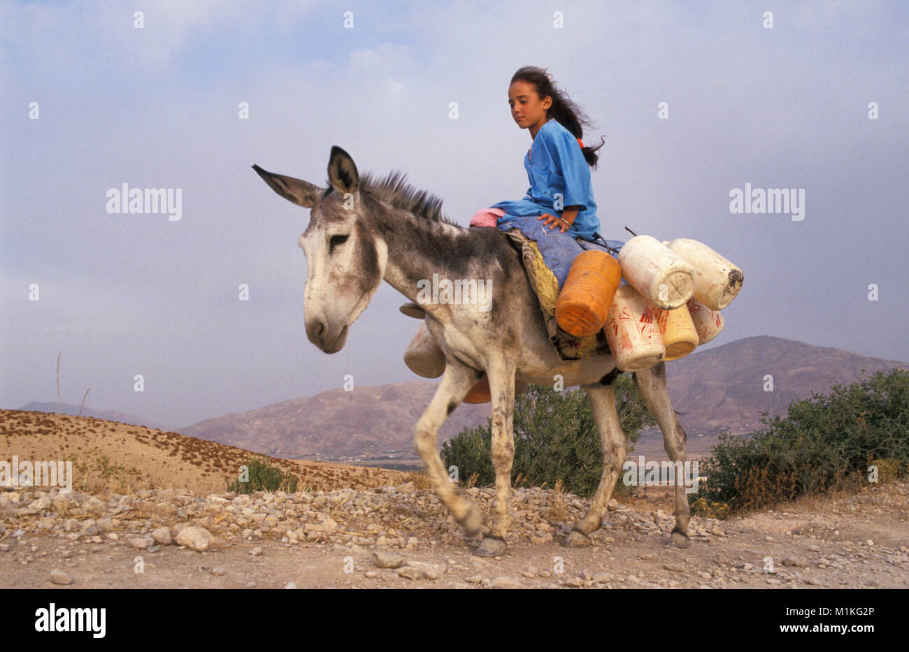 Marokko. Kassita. Rif Gebirge. Mädchen der Berber Stamm auf Esel Transportieren von Wasser. Stockfoto