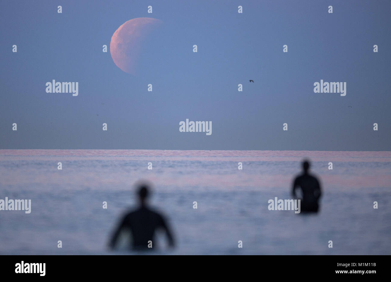 San Diego, Kalifornien, USA. 31 Jan, 2018. Ein Super blaues Blut Mond legt am Horizont in der La Jolla Shores Beach. Der Mond war über 14 Prozent heller als üblich, so dass es ein Super Mond und ist der zweite Vollmond des Monats, allgemein als Blue Moon bekannt." Die Super Blue Moon wird durch den Schatten der Erde pass Betrachter eine totale Mondfinsternis. Während der Mond in den Schatten der Erde ist Es wird eine rötliche Färbung, als "Blut Mond bekannt." Credit: KC Alfred/ZUMA Draht/Alamy leben Nachrichten Stockfoto