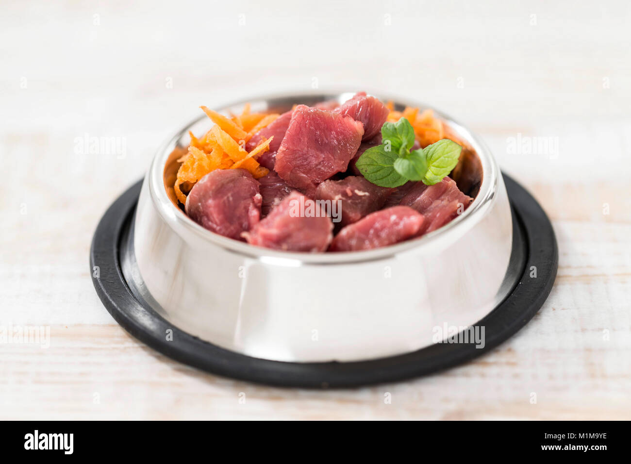 Haushund. Essen Schüssel gefüllt mit frischem Fleisch und Gemüse (BARF) auf Parkett. Deutschland. Stockfoto