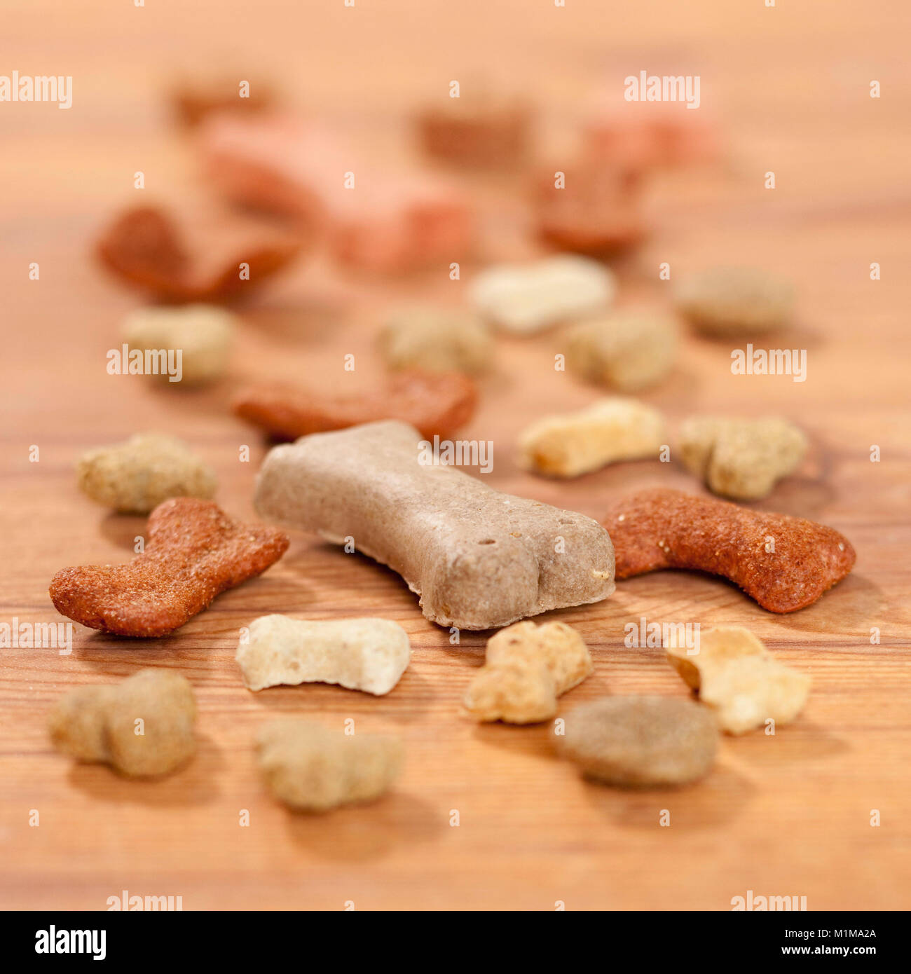 Haushund. Verschiedene Kekse als Belohnung für Hunde. Deutschland Stockfoto