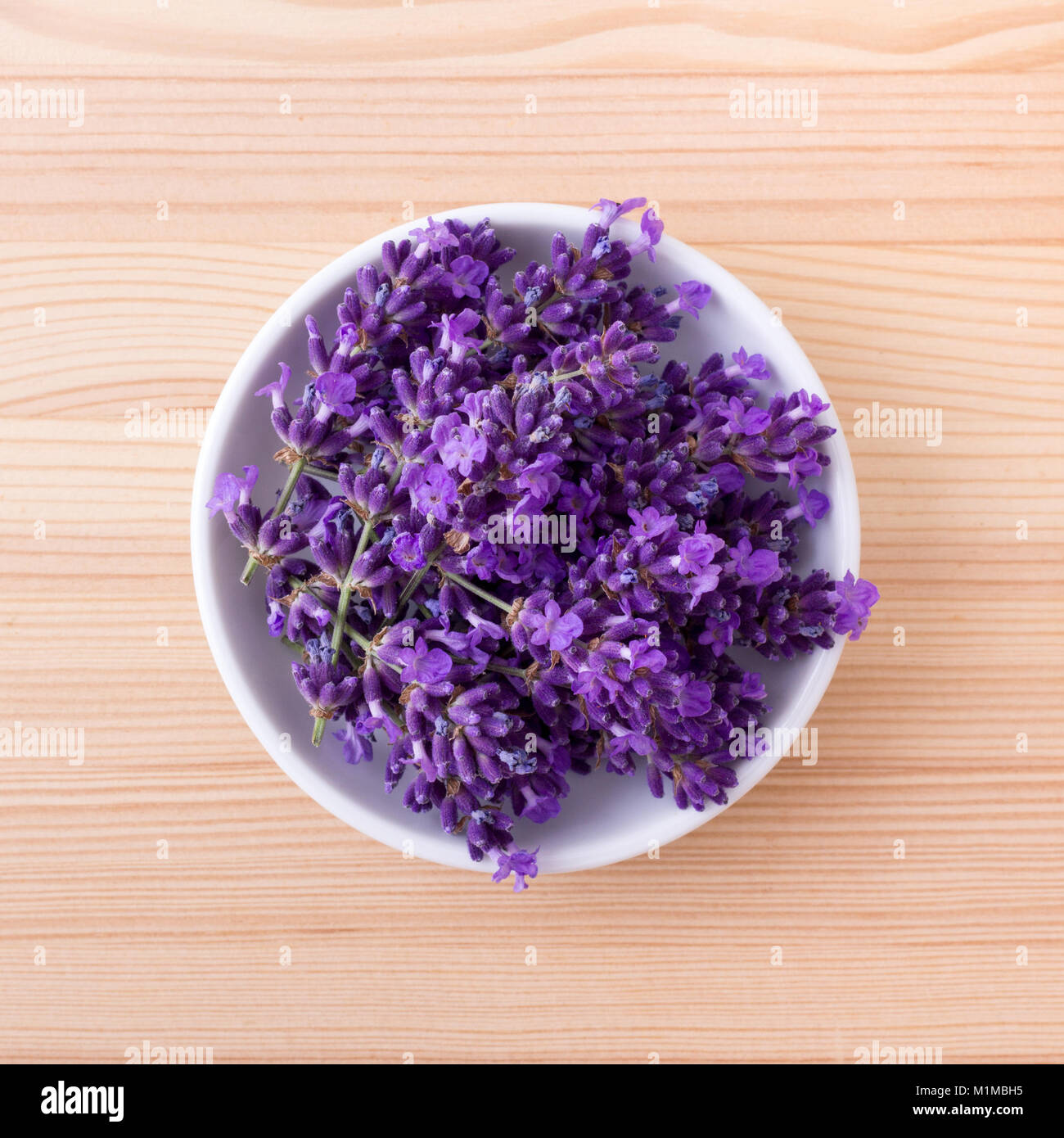 Ansicht von oben auf eine Porzellanschale mit Lavendel Blüten Stockfoto