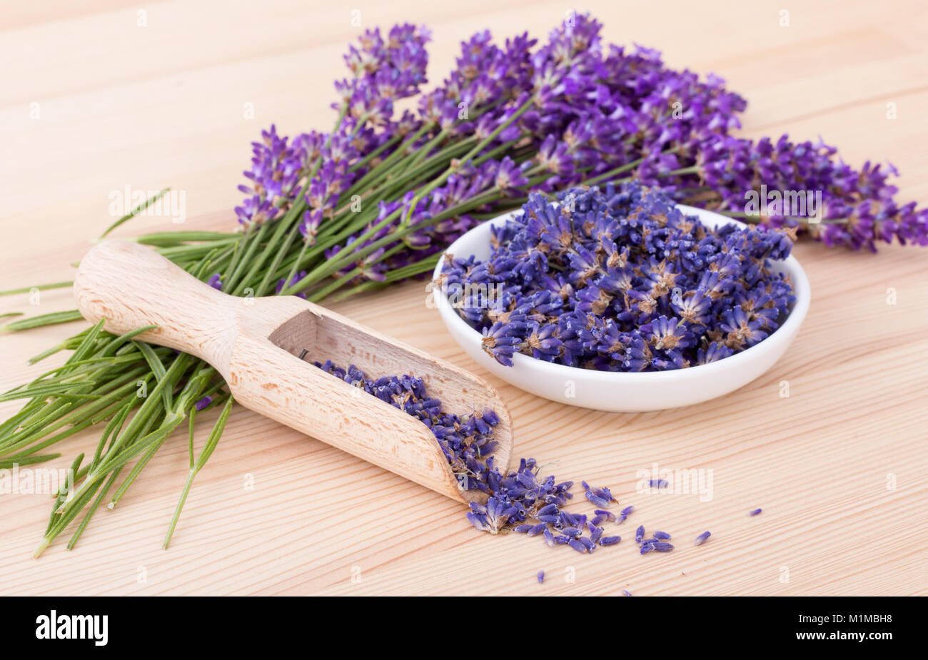 Porzellanschüssel mit getrockneten Lavendelblüten und Blumenstrauß mit Lavendel Stockfoto