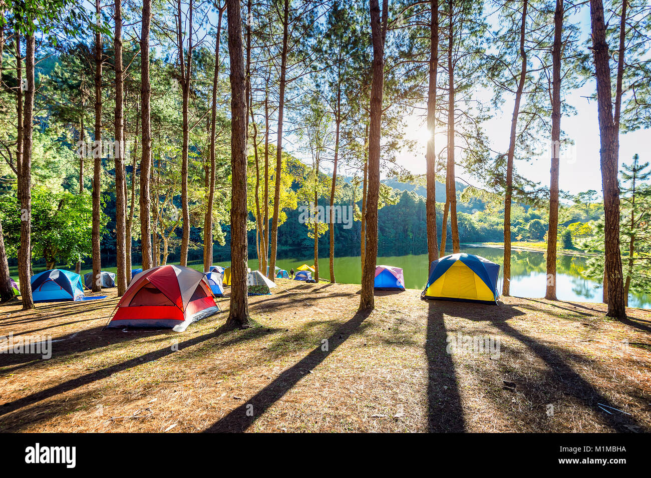 Camping Zelte unter Pinien mit Sonnenlicht in Pang Ung See, Mae Hong Son in Thailand. Stockfoto