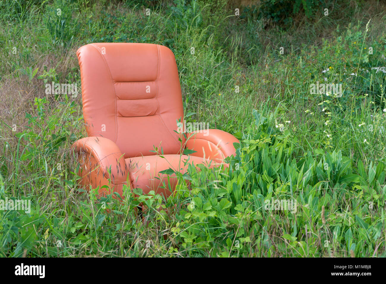 Ein roter Stuhl steht in der Natur Stockfoto