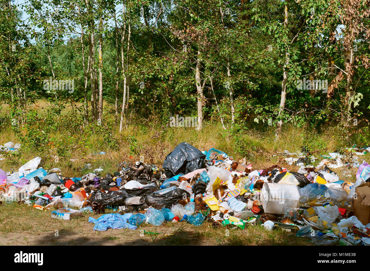 Müll in der Natur, in der die Verschmutzung der Umwelt, Müll im Wald Stockfoto