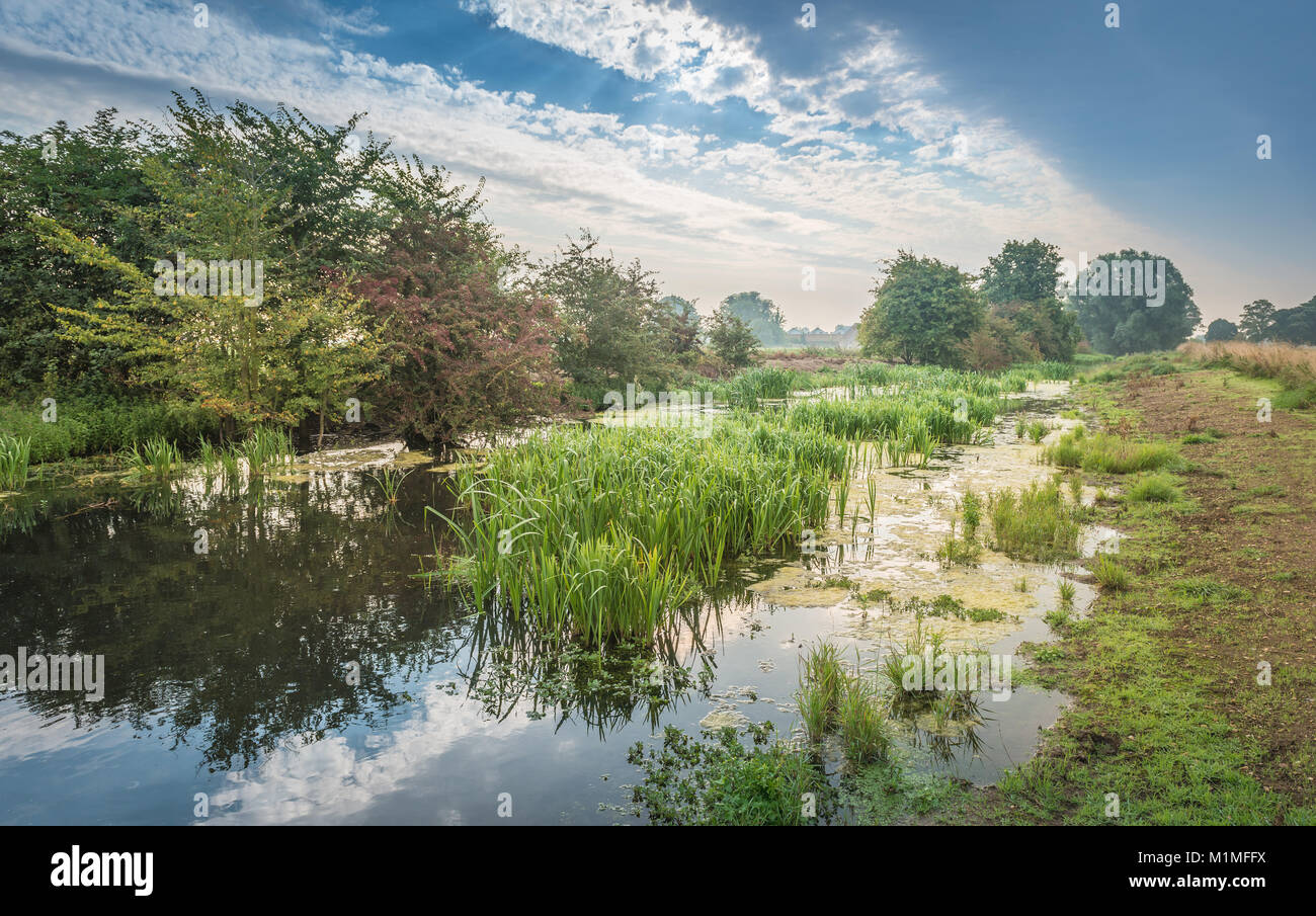 Die Feuchtgebiete und Niederungen der Lincolnshire Fens während einer frühen Herbst Morgen in der Nähe von Kate's Bridge, Thurlby, Lincolnshire, Großbritannien Stockfoto