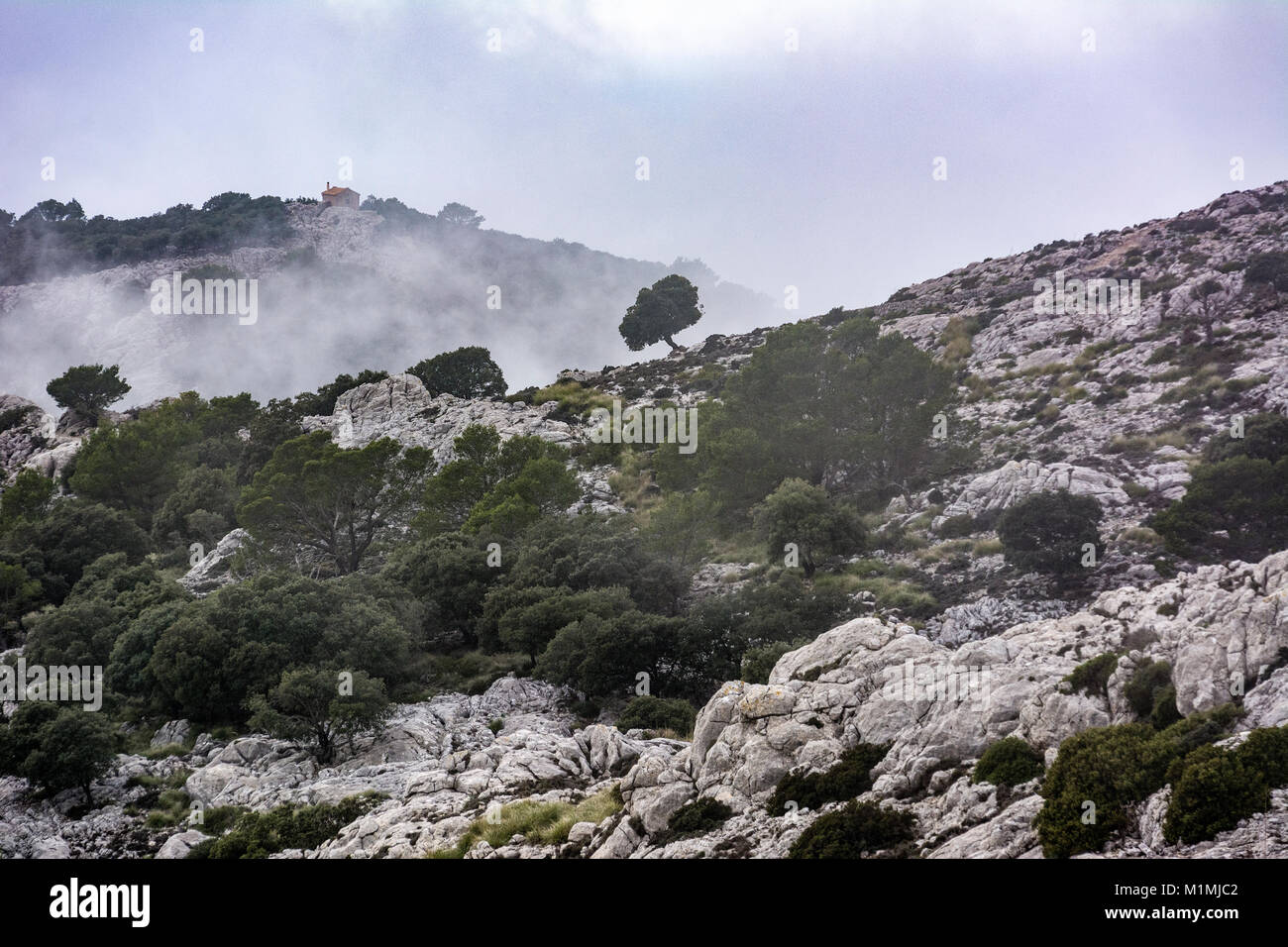 Sierra de Tramuntana auf Mallorca mit Wolken auf dem Berg. Sierra de Tramuntana auf Mallorca mit Wolken auf dem Gipfel. Stockfoto