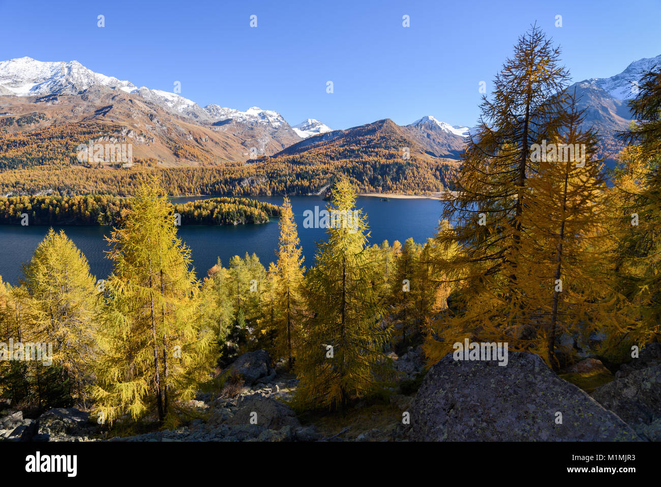 Sils-See im Herbst, Engadiner Tal, Graubünden, Schweiz Stockfoto