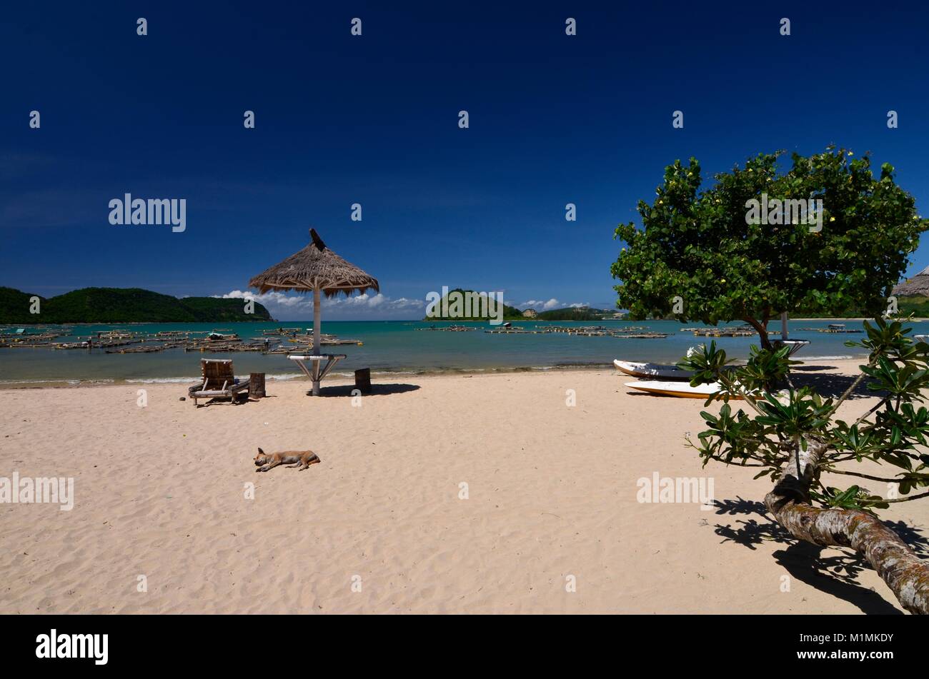 Tropischer Strand, Lombok, West Nusa Tenggara, Indonesien Stockfoto