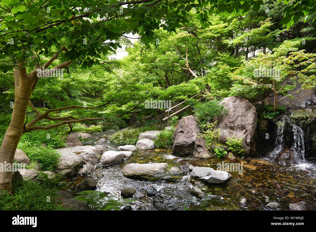 Shirotori - traditioneller Japanischer Garten in Nagoya. Stockfoto