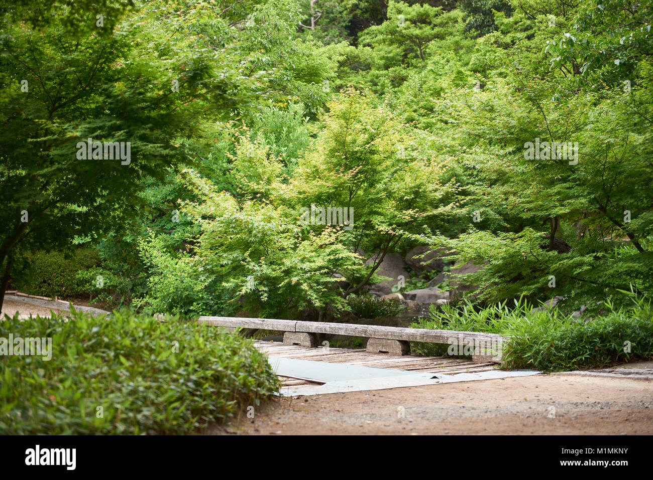 Shirotori - traditioneller Japanischer Garten in Nagoya. Stockfoto