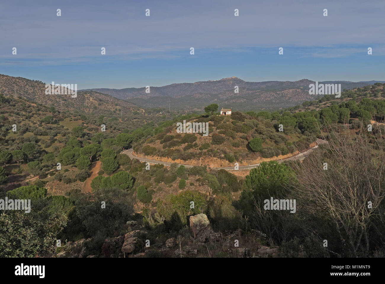 Gebirgsstrasse mit isolierten Haus auf einem Hügel mit Stone Pine Tree Parque Natural Sierra de Andujar, Jaen, Spanien Januar Stockfoto